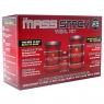 BSN mass stack 2.0 trial kit