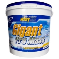  Pro Nutrition Whey Line GIGANT PRO MASS 5 кг