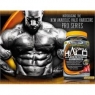  MUSCLETECH Anabolic Halo PRO SERIES 920 g