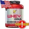 BSN Whey DNA 1870 g (4.12 lb)