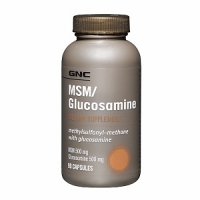 GNS MSM & GLUCOSAMINE 90 капс